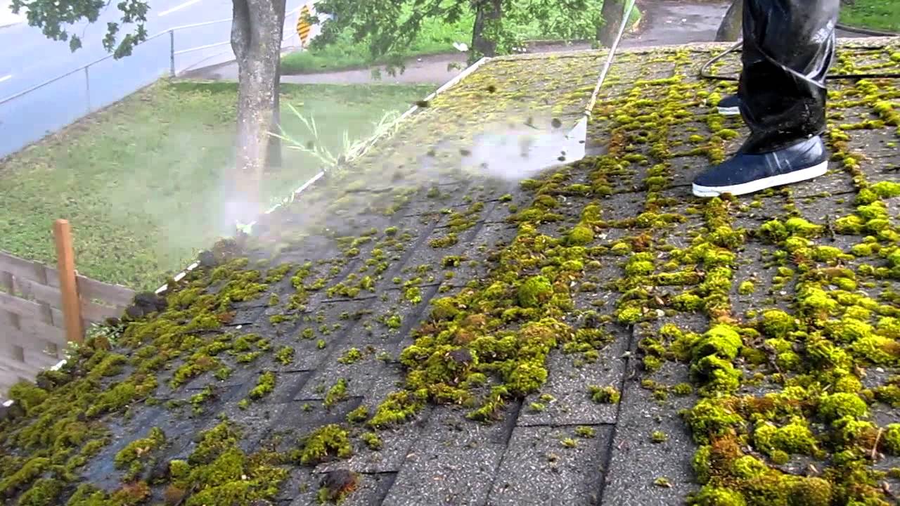 ontmossen van een dak